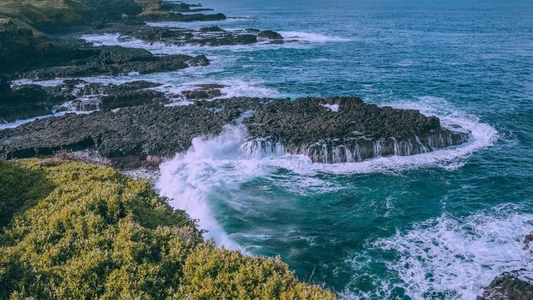 如何凭借几组照片成为澳洲海岛上的一名小小小网红？