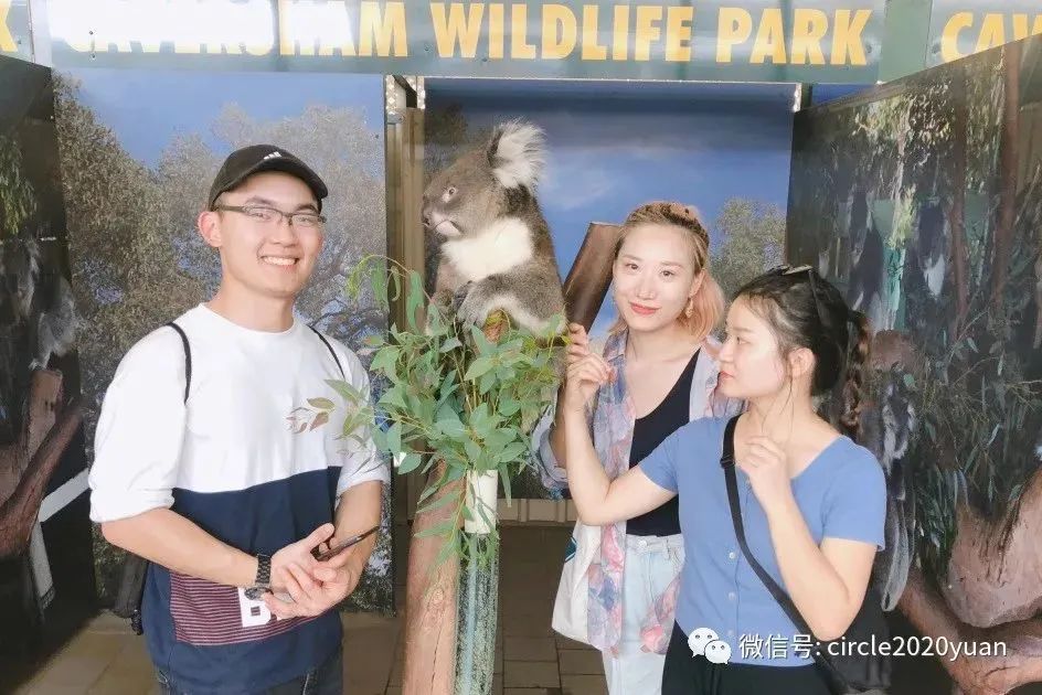 惨失寿司店工作，却喜提青旅换宿机会！