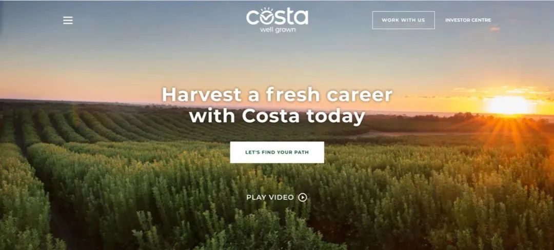 疫情之下·传说周薪破千的Costa农场体验日记
