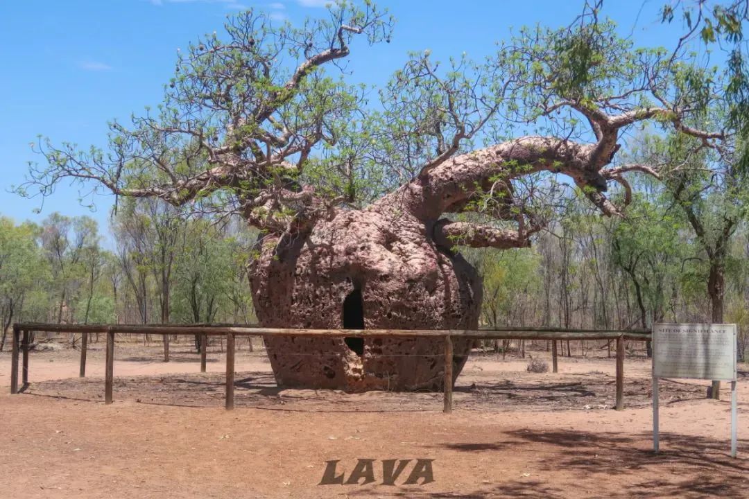 布鲁姆→达尔文，澳洲顶端的两千里山与水