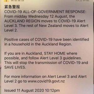 NZTC幼教实习第三周的意外惊喜，要签reliever了！意外惊吓，又要lockdown了！