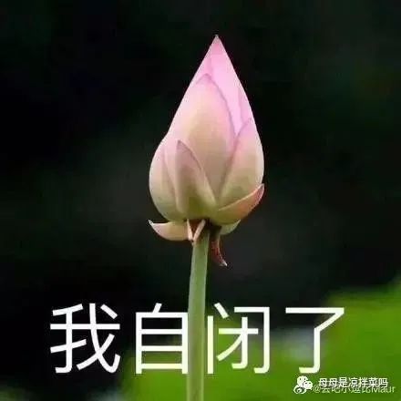 可怕！在凯恩斯遇上变态，专狙女背包客！