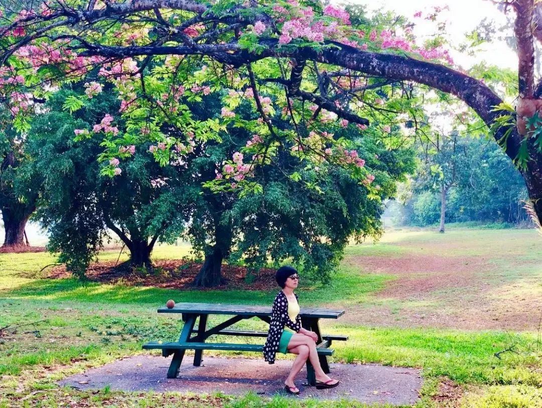 带着妈妈去旅行 | 没有清一色酒店，就在雨林里睡吧！