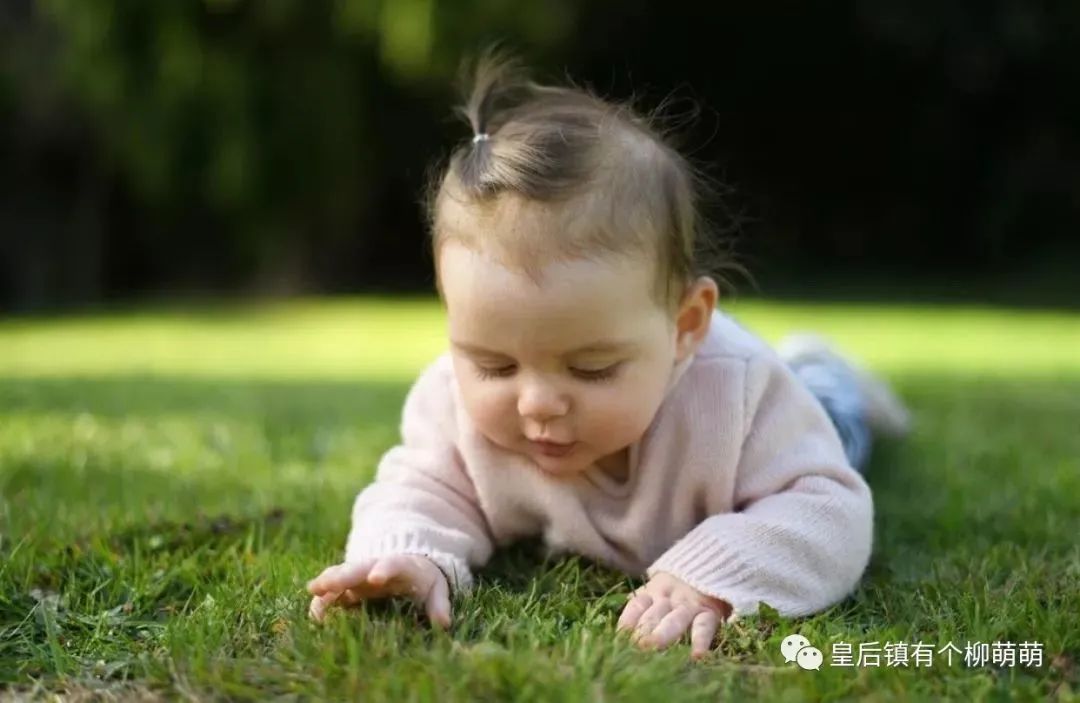 新西兰五年影记 醒来梦中都是你