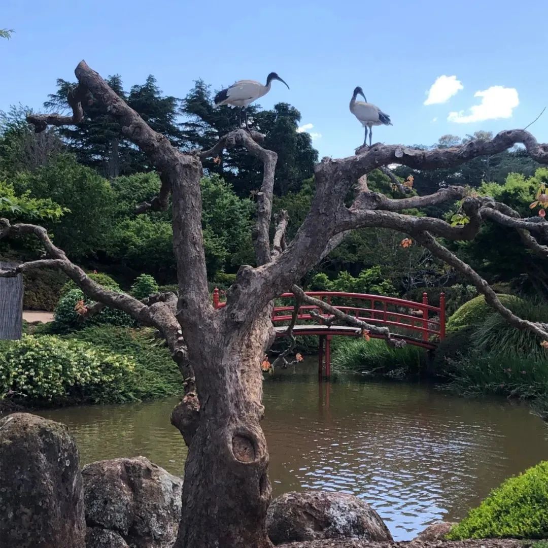 2000亩的农场，藏着野温泉。