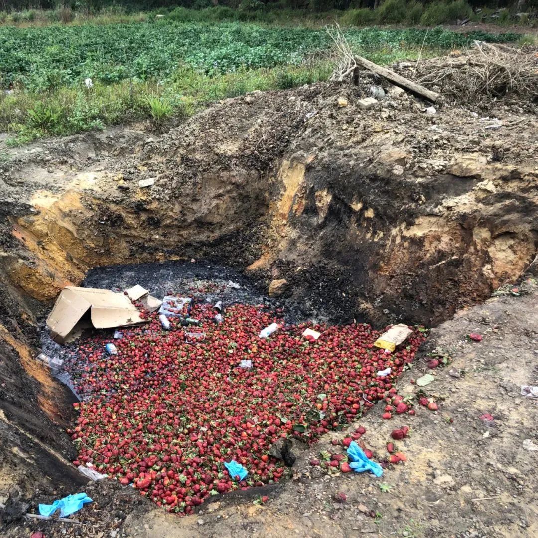 为了赚更多的钱,把你的良心装进冰箱吧！