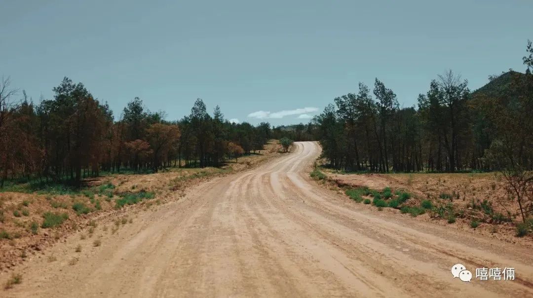 Roadtrip | 南澳，我心心念念的好家伙。