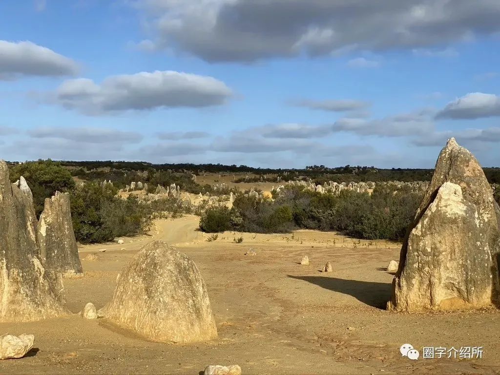 开心澳洲自驾游，差点变身新闻头条主人公