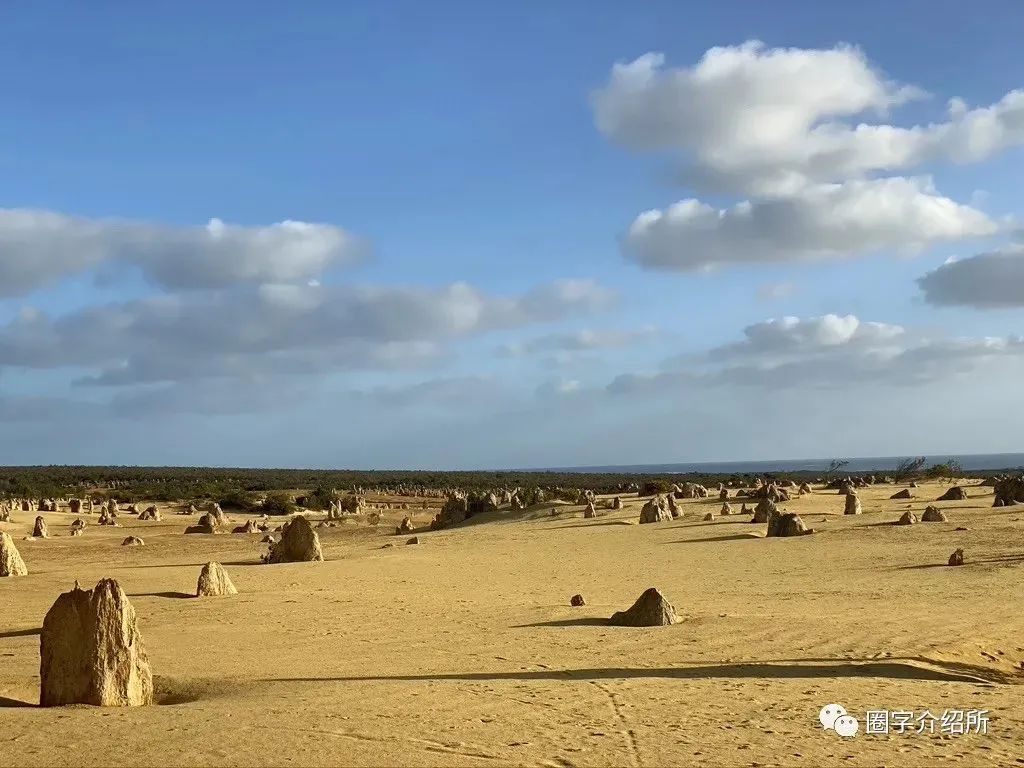 开心澳洲自驾游，差点变身新闻头条主人公