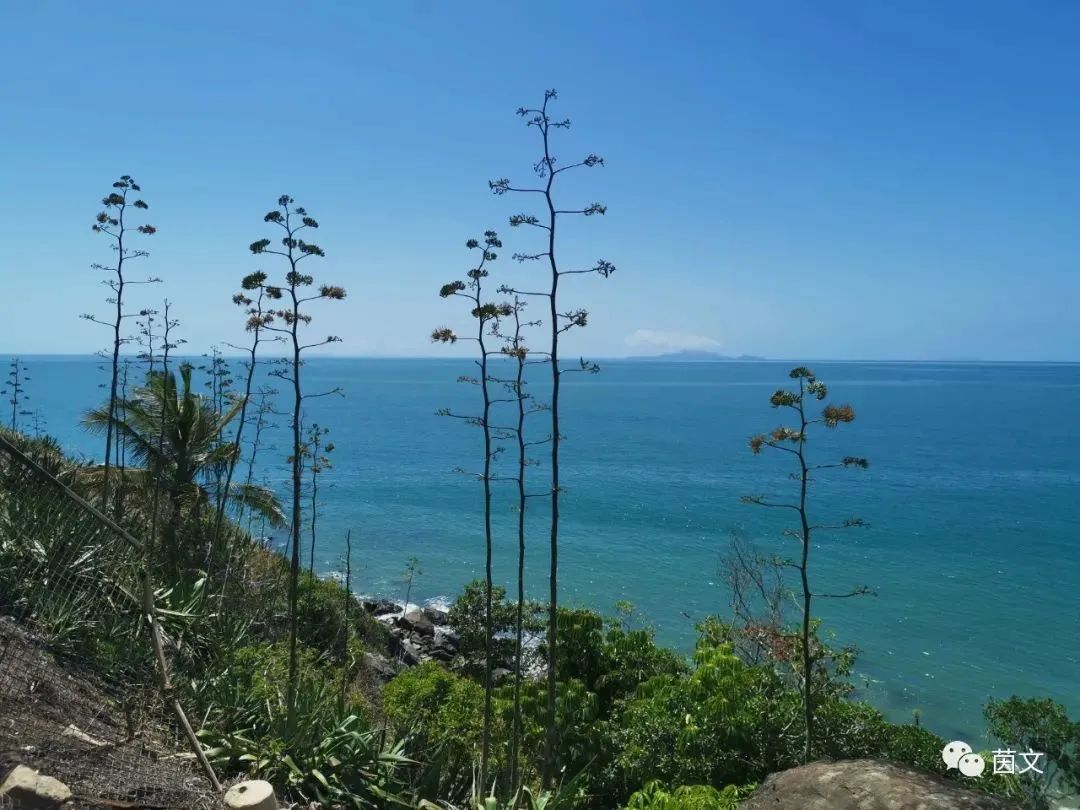 流浪土澳1年多，就数住在Mackay最开心！