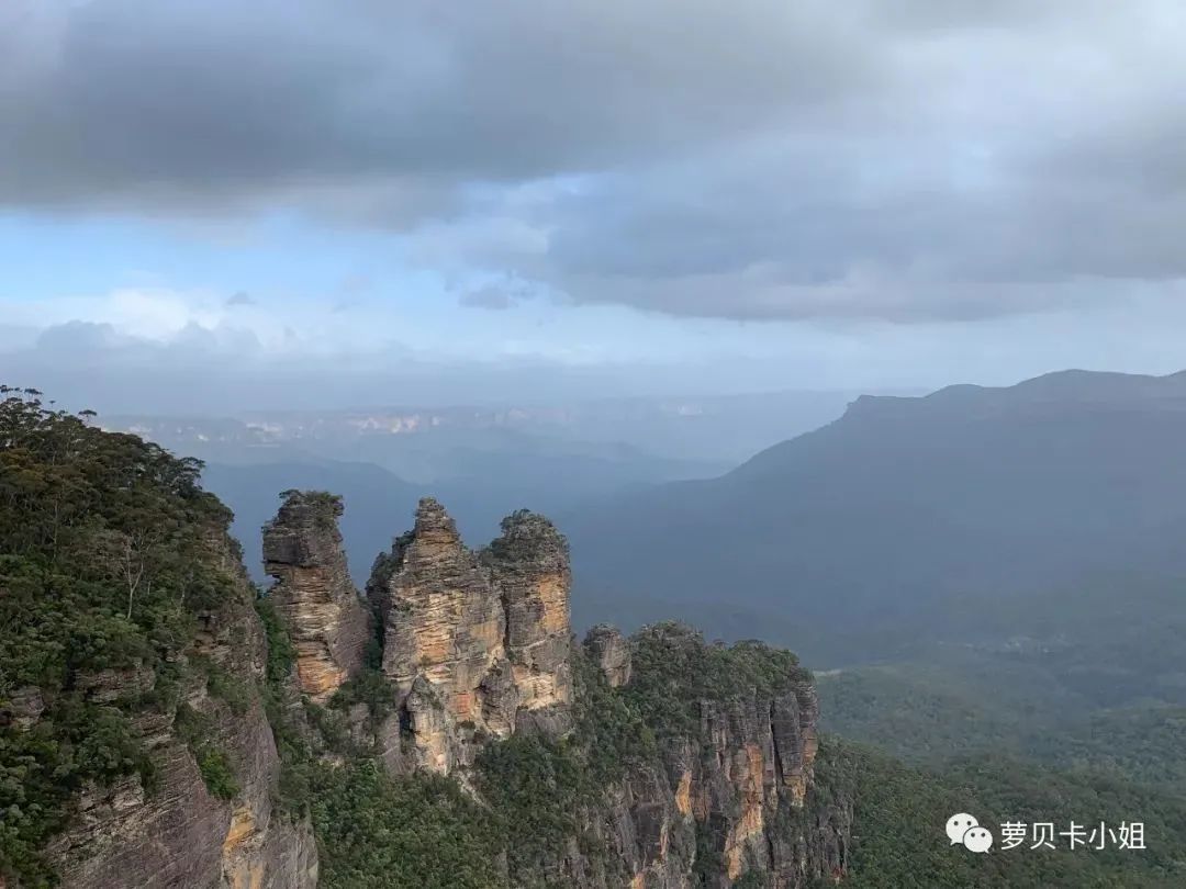 在澳洲餐馆打工，分分钟想摔盘子砸丫的那些瞬间