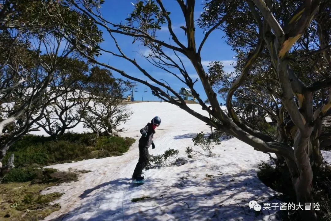 什么？滑雪的快乐你还不懂？