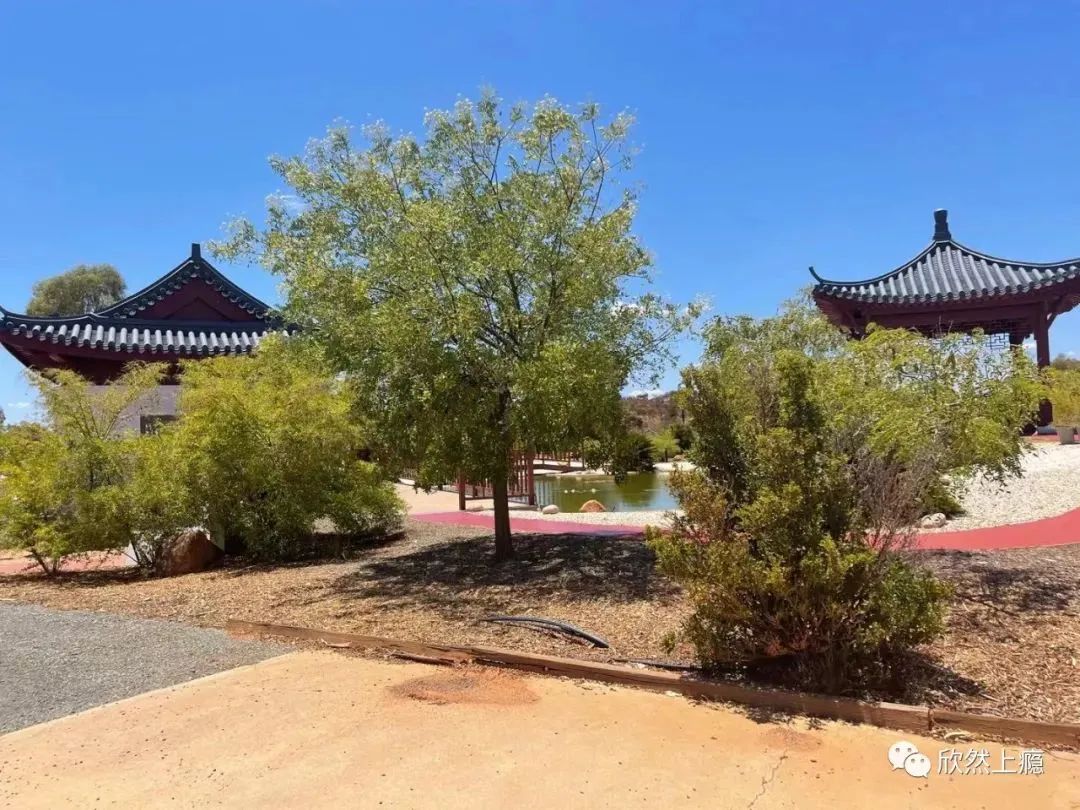 孤独的金矿小镇—西澳大利亚卡尔古利(Kalgoorlie)旅游攻略