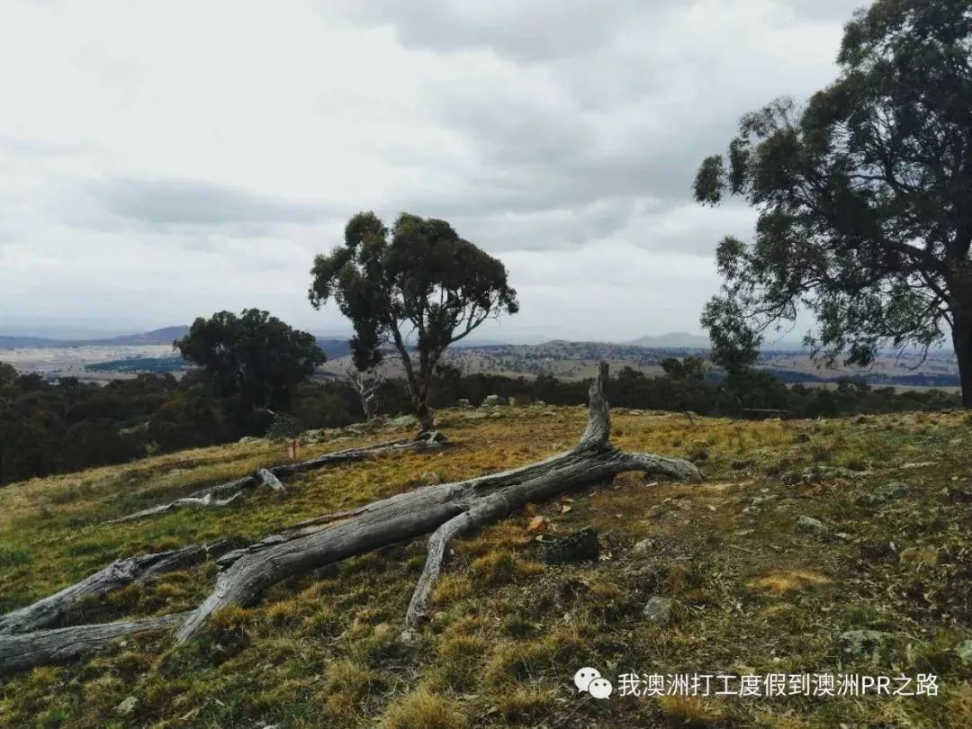 澳漂数年，流离于各种城市，我租过哪些房？