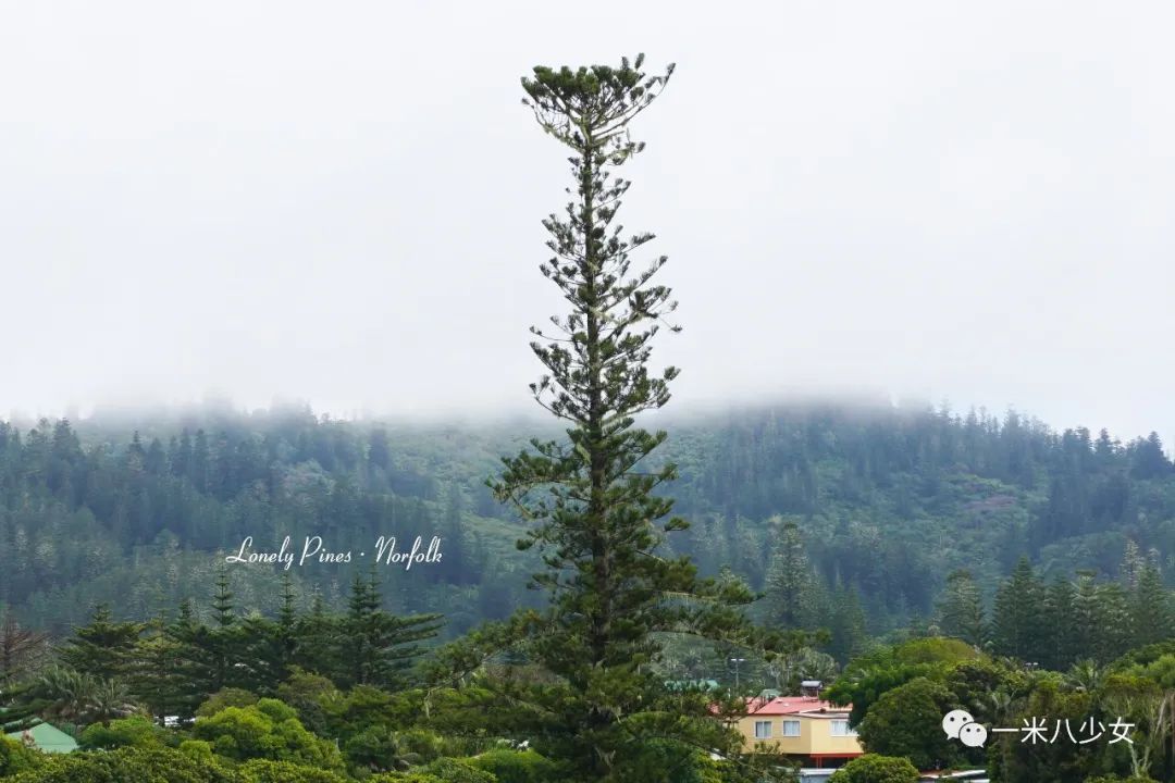 没有苹果和蛇的小岛，却是很多人的伊甸园...