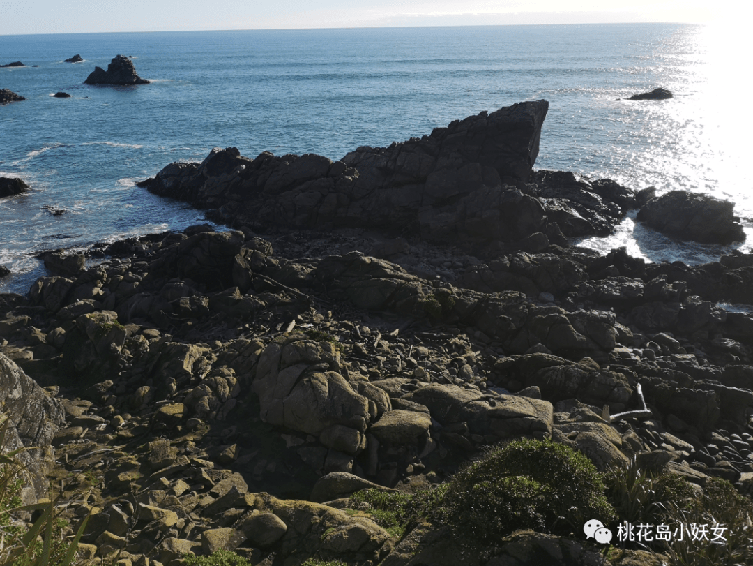 Westport | 西港的海，摸鱼的梦