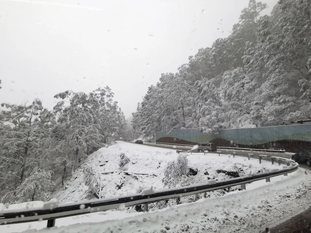 不在雪山工作也能免费爽滑，导游工作了解一下？