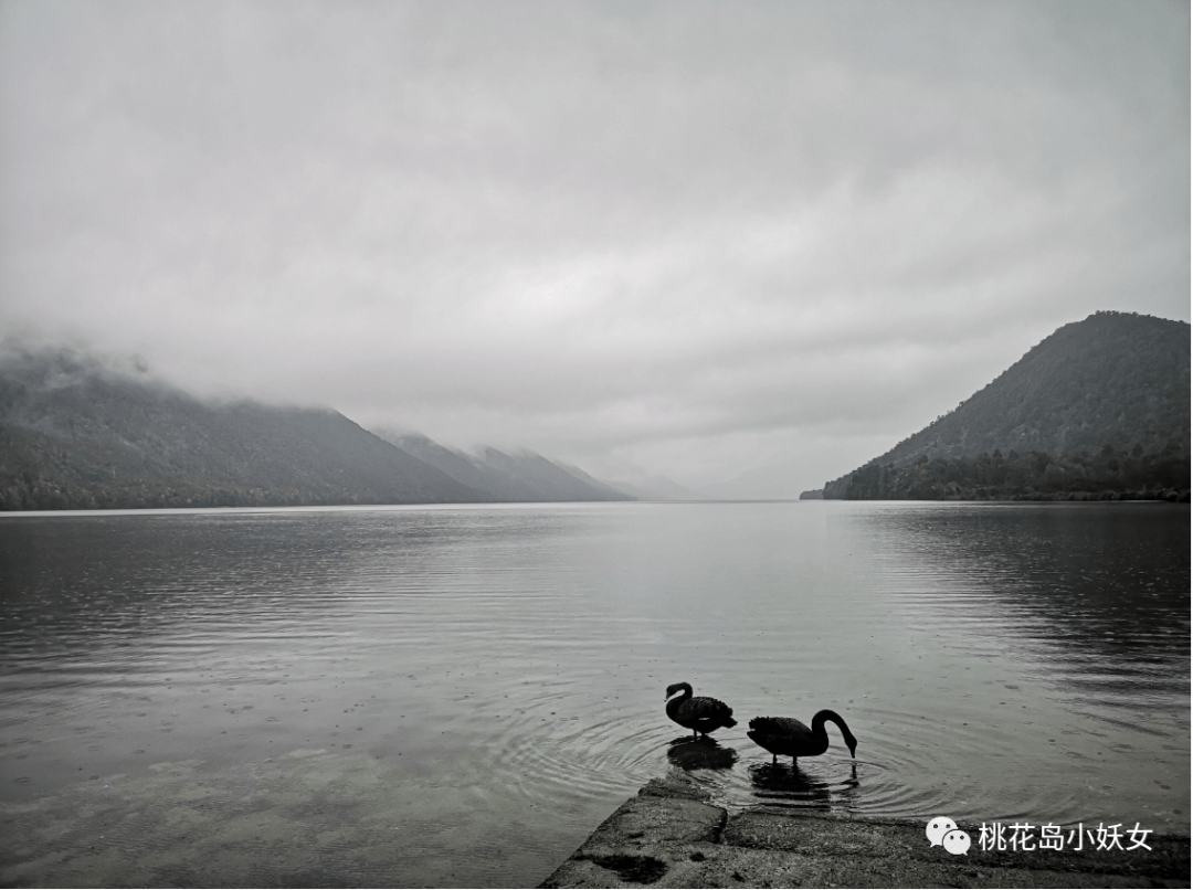 尼尔森的湖，一蓑烟雨