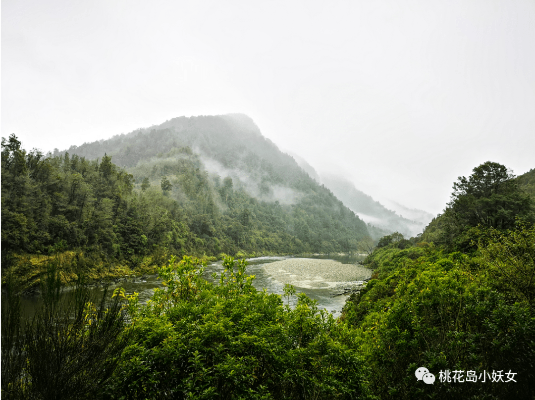 尼尔森的湖，一蓑烟雨