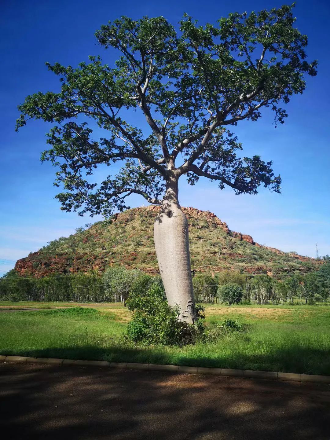 Kununurra-这个让我倍感孤独的小镇