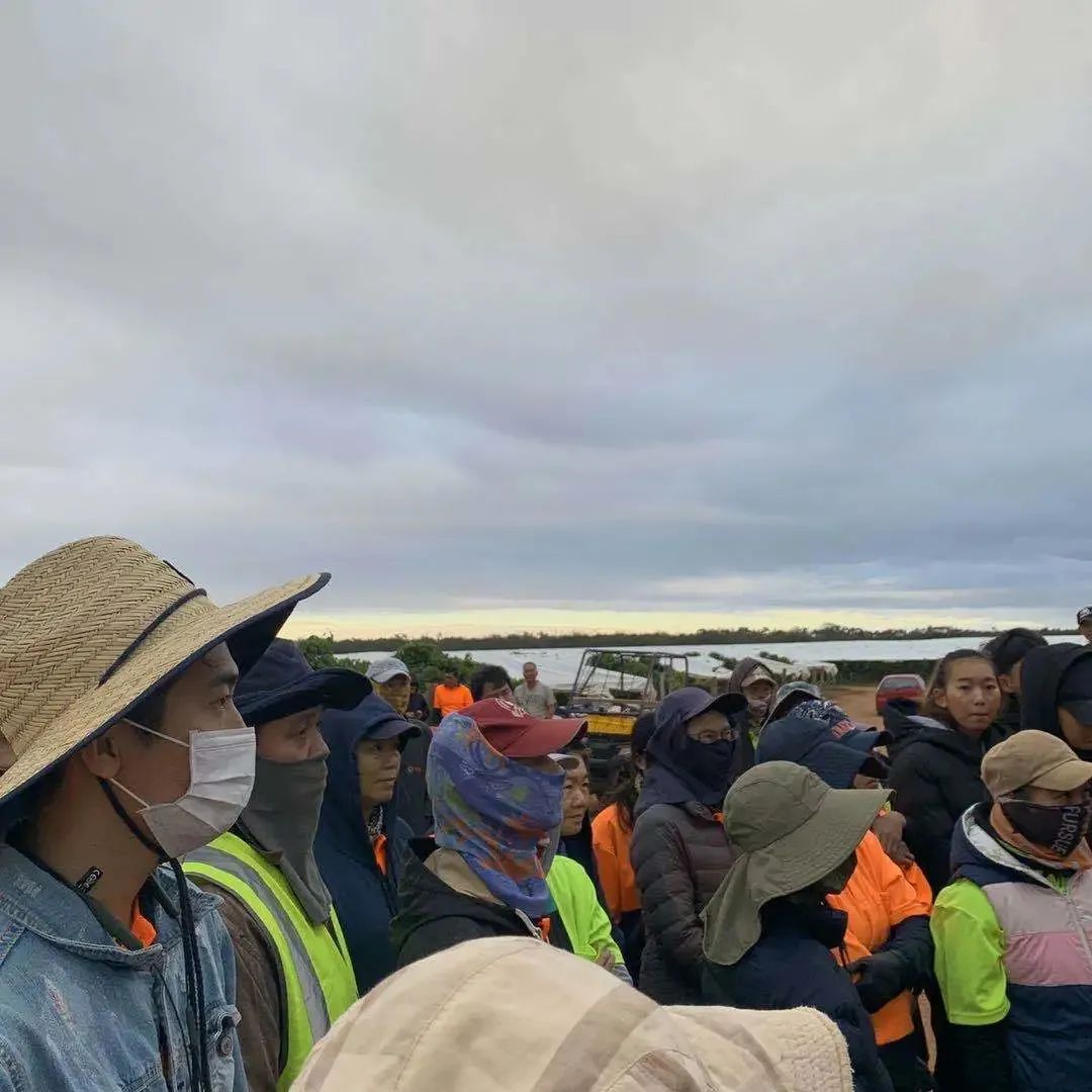 土澳日记/叁 一场游戏一场梦