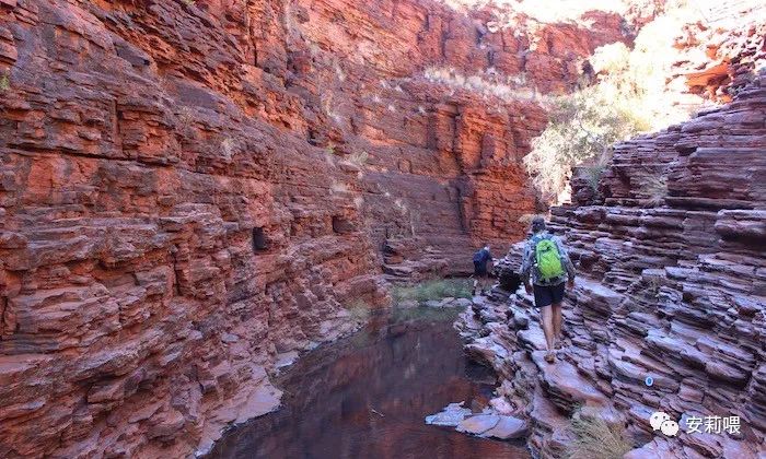 西澳文字Vlog之karijini/Exmouth