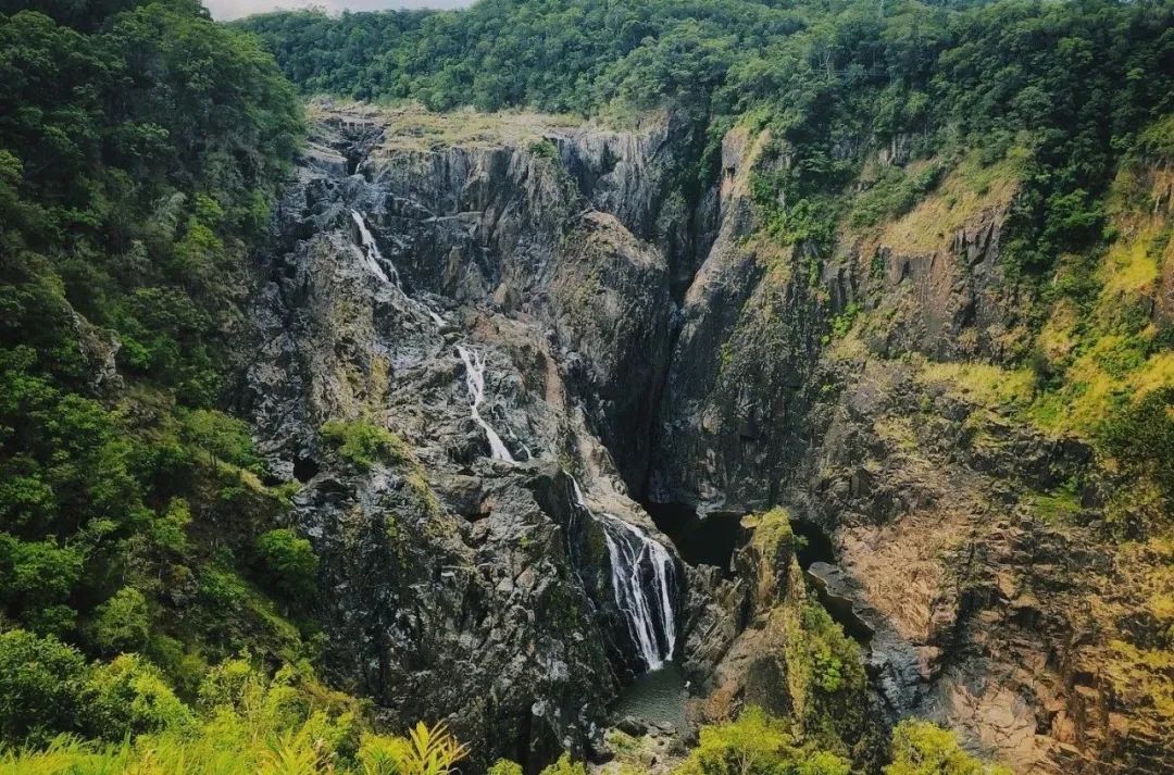 730 天， 你 是 我 远 道 而 来 的 风 景