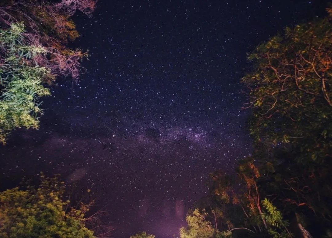 730 天， 你 是 我 远 道 而 来 的 风 景