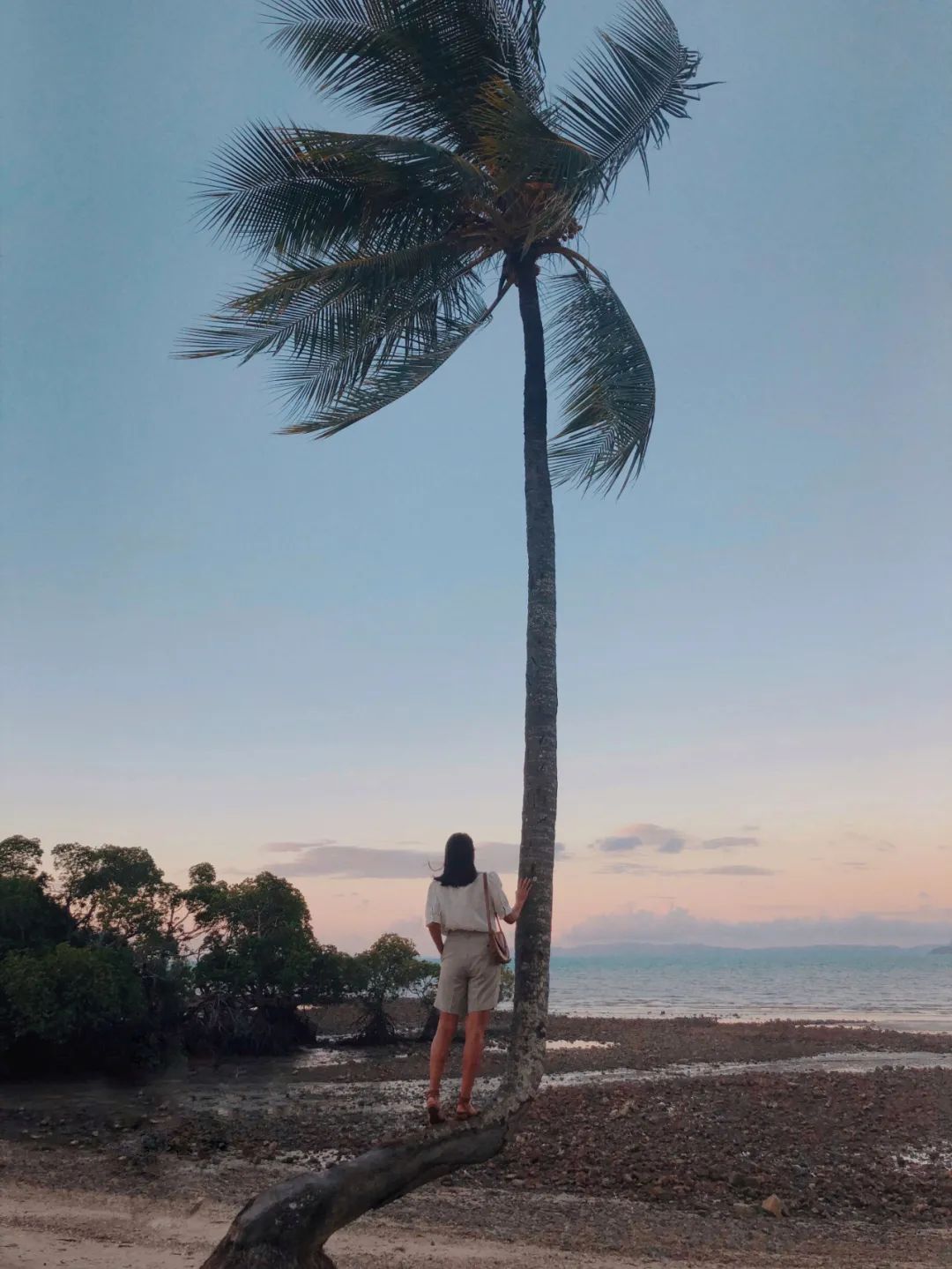 730 天, 你 是 我 远 道 而 来 的 风 景 730 天, 你 是 我 远 道 而 来 的 风 景