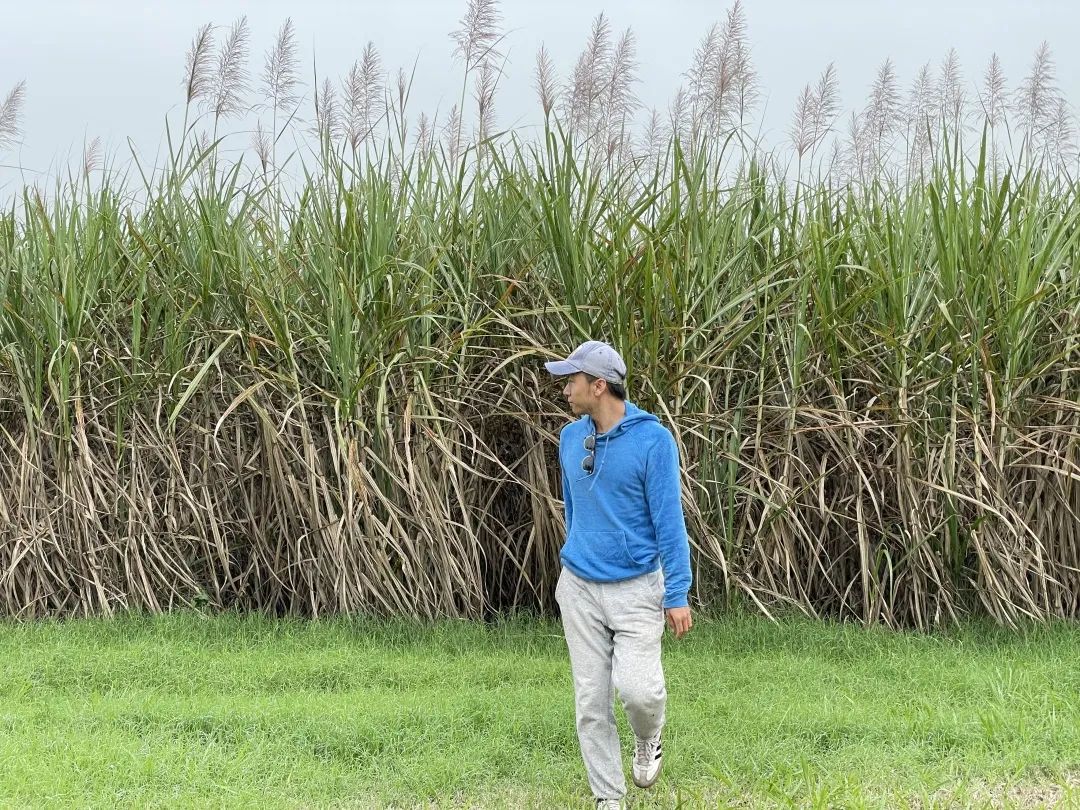 如果回忆是一方密林中孤独的池塘，谁又会在何时鼓起勇气开辟新径再次探寻它？