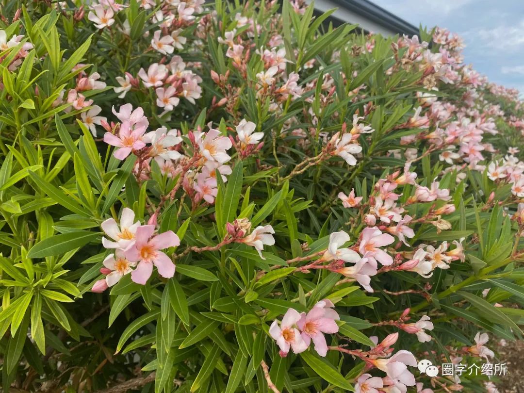 今天睡车里｜免费的未必就是不好的