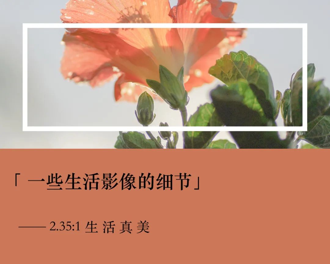 两年十个月我在新西兰干了啥？