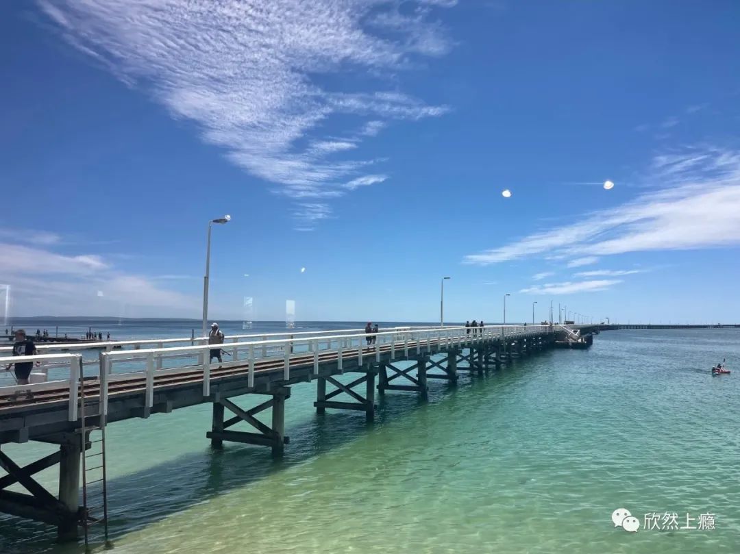 西澳Bunbury，三天两晚自由行攻略