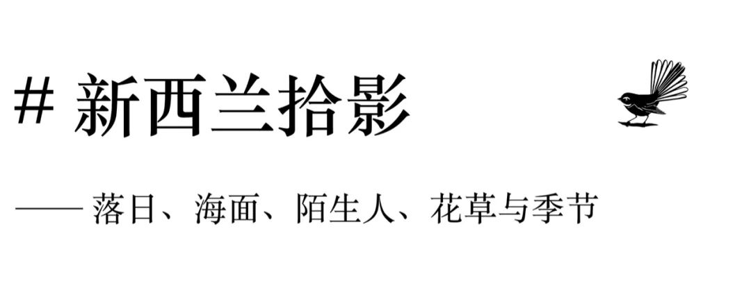 两年十个月我在新西兰干了啥？