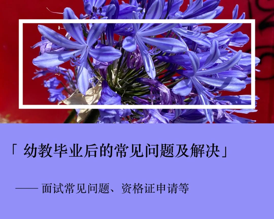 两年十个月我在新西兰干了啥？