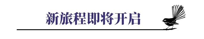 新西兰幼教毕业后的常见问题及解决