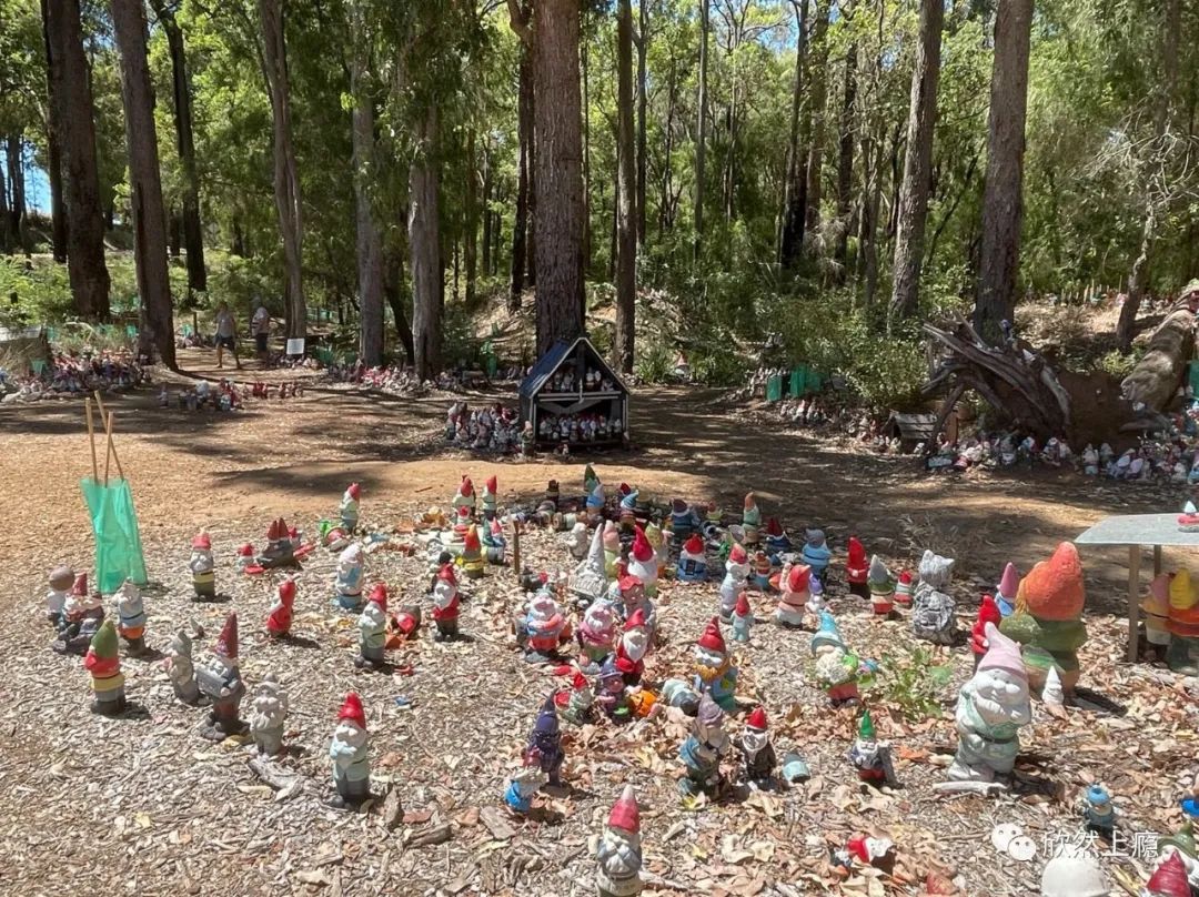 西澳Bunbury，三天两晚自由行攻略