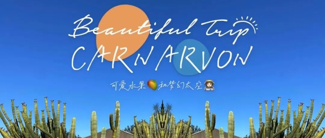 今天睡车里｜可爱水果和梦幻太空并存的Carnarvon