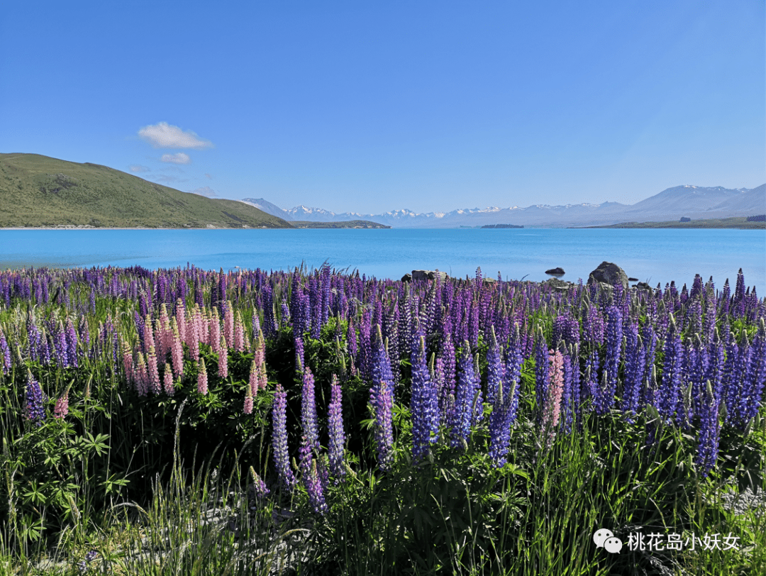 Tekapo | 风花雪月，这三年