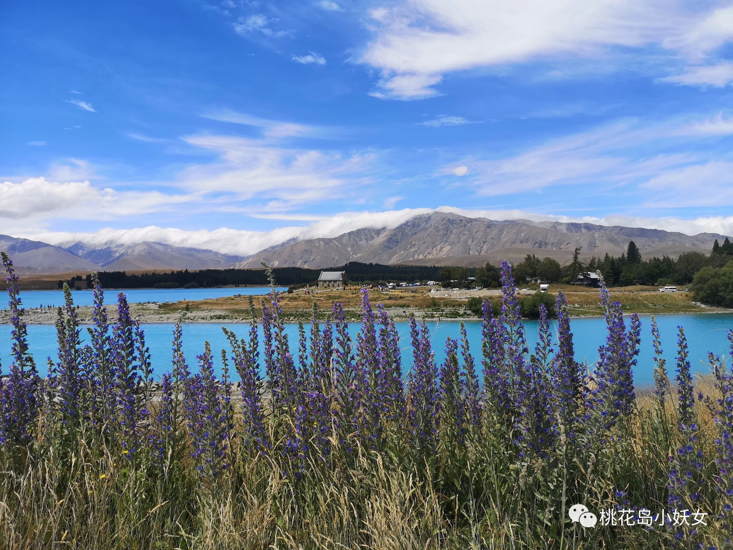 Tekapo | 风花雪月，这三年