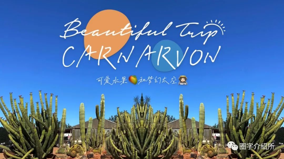 今天睡车里｜可爱水果和梦幻太空并存的Carnarvon