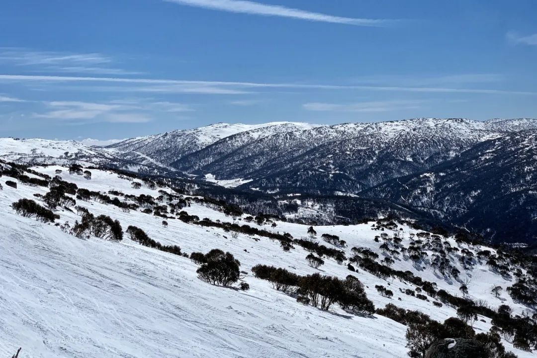 滑雪自由的雪山浪漫时光｜澳洲间隔年