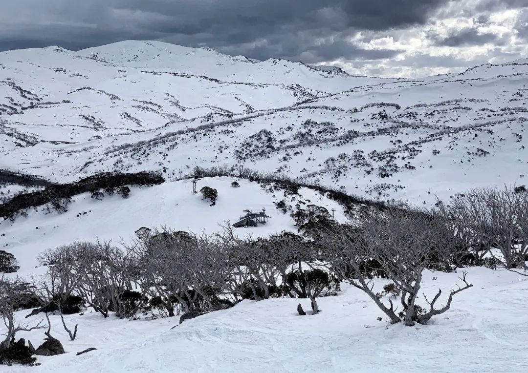 滑雪自由的雪山浪漫时光｜澳洲间隔年