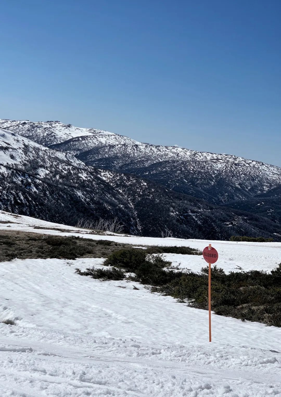 滑雪自由的雪山浪漫时光｜澳洲间隔年