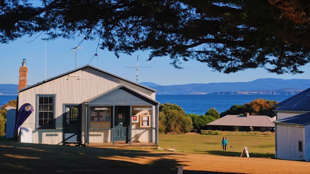 Tasmania 塔斯马尼亚｜最寂静和浪漫的山与海