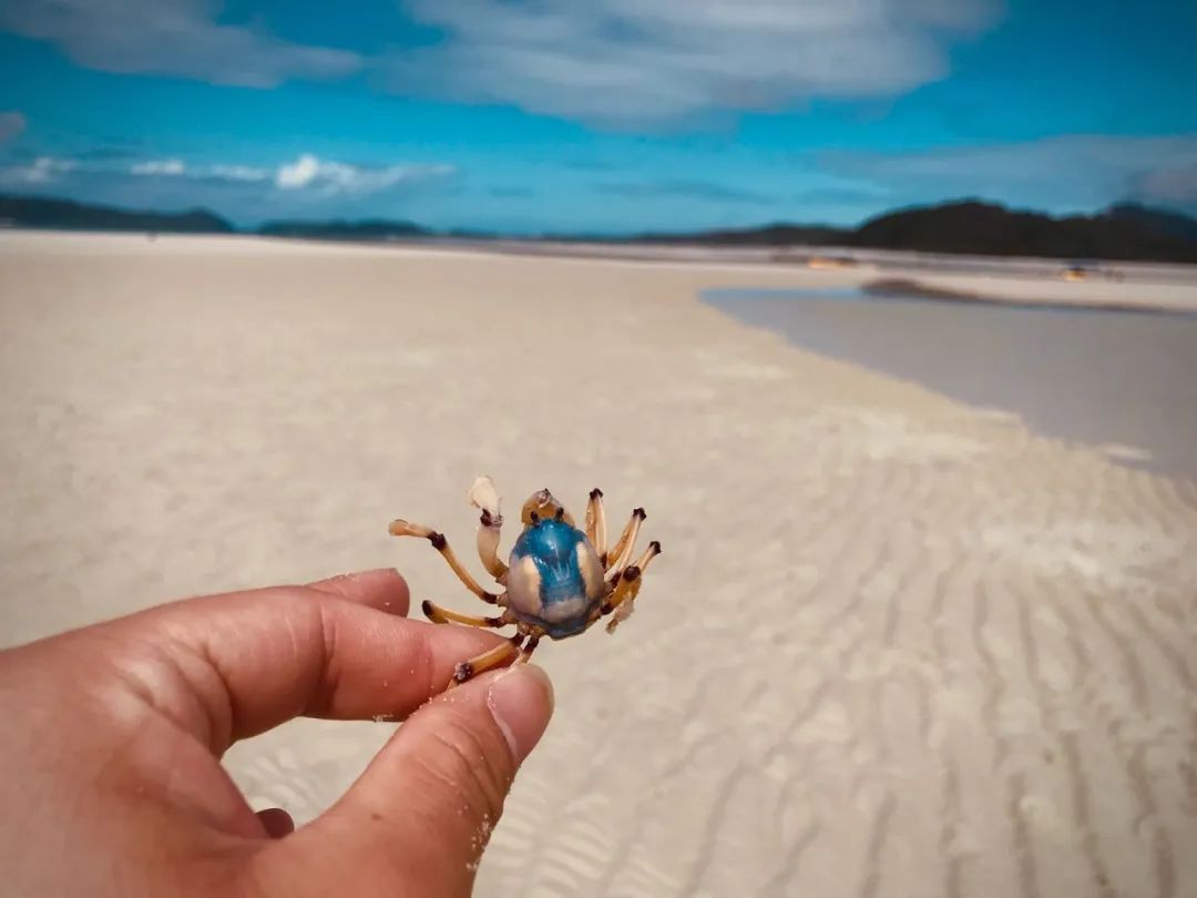 WHV分享会｜我所要去的地方，都是我未曾谋面的故乡