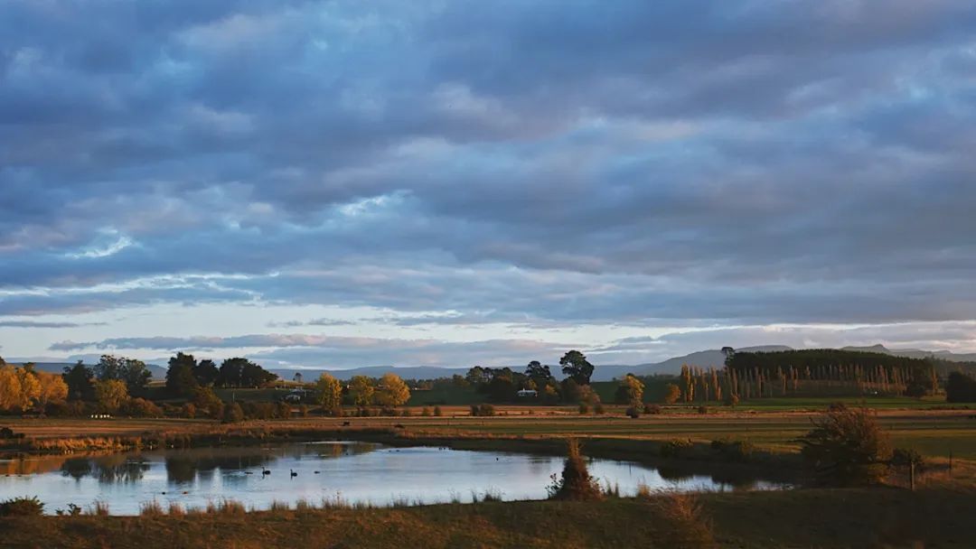 Tasmania 塔斯马尼亚｜最寂静和浪漫的山与海