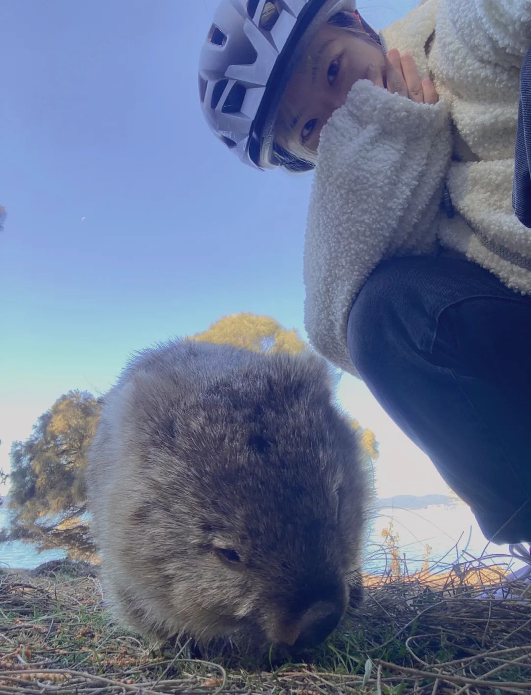 Tasmania 塔斯马尼亚｜最寂静和浪漫的山与海