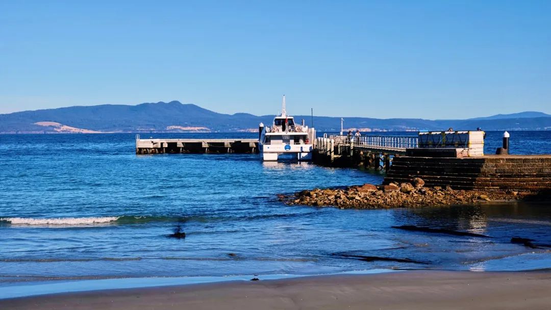 Tasmania 塔斯马尼亚｜最寂静和浪漫的山与海