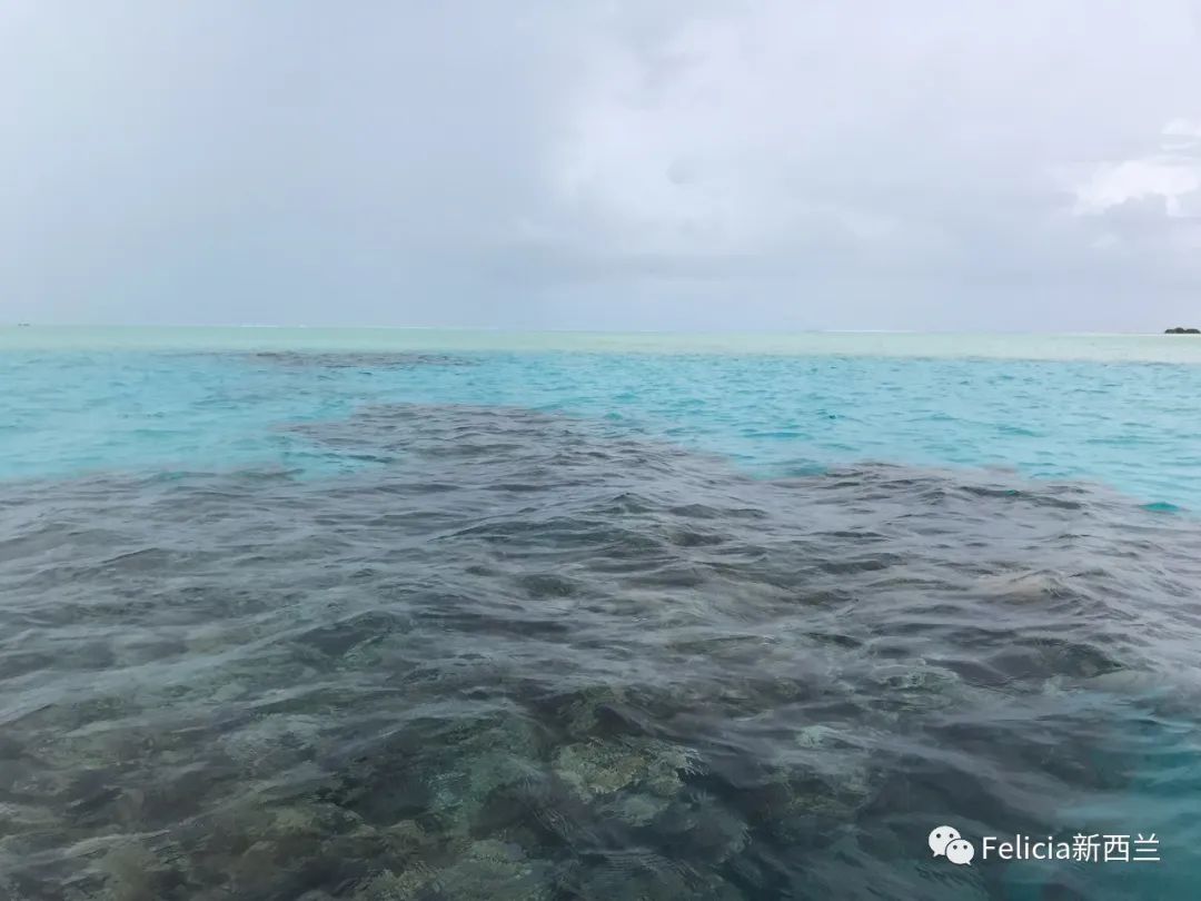 Cook Island 库克群岛之旅